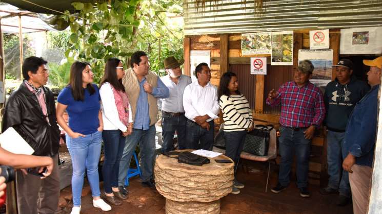 Vivero municipal, clave en preservación de áreas verdes