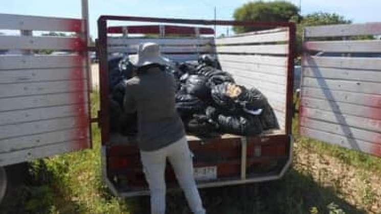  Marina en Oaxaca aseguran 46,700 huevos de tortuga