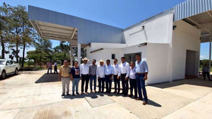 Crean Centro de Acopio de Leche en Tuxtepec