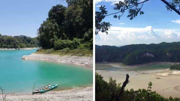 Se secan lagunas en selva Lacandona por falta de lluvia