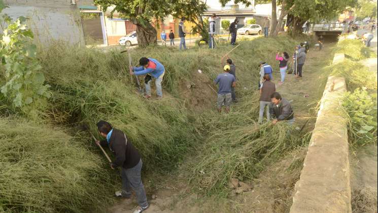 Realizan el Sexto Tequio Ciudadano en la colonia Ejidal   