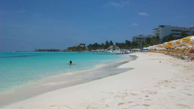 Playas de Norte de Quintana Roo libres de Zargazo: RMSC