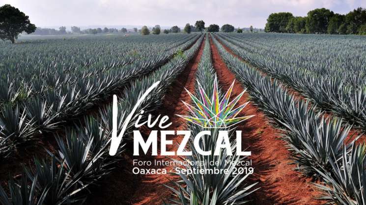 Oaxaca, sede del primer Foro Internacional de Mezcal