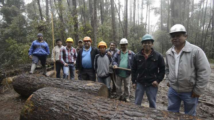 Celebra UZACHI 30 años llamando a apoyar manejo forestal comunal