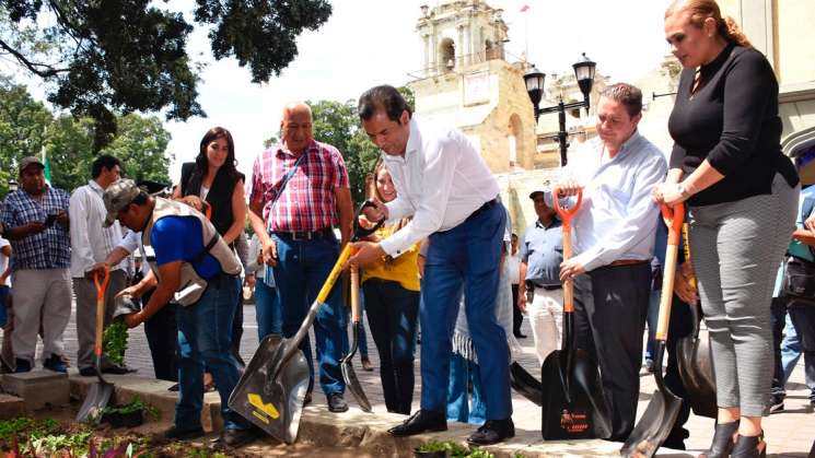 Municipio siembra 48 mil plantas en el zócalo de Oaxaca  