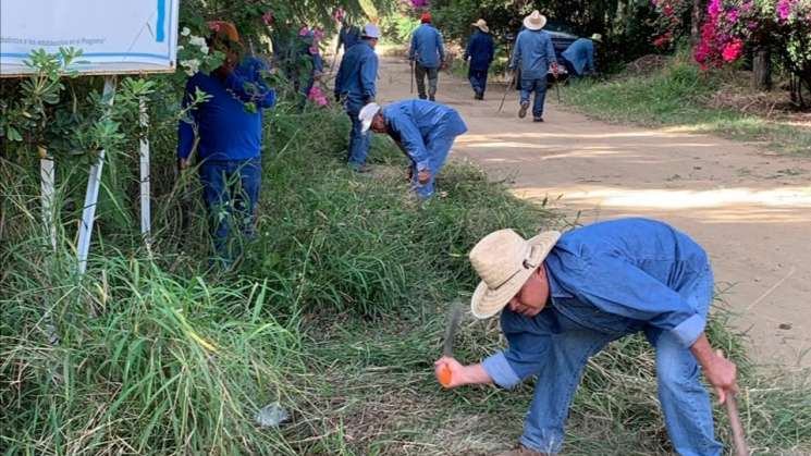 Sedapa mejora bosque El Tequio en beneficio de Oaxaqueños