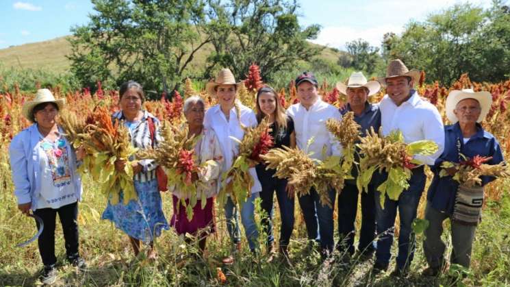 Impulsará gobierno del estado a productores de amaranto