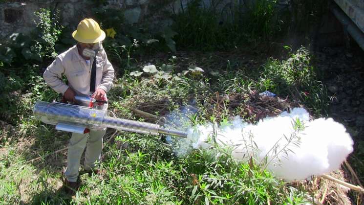 Se nebulizan 263  localidades de riesgo para dengue: SSO