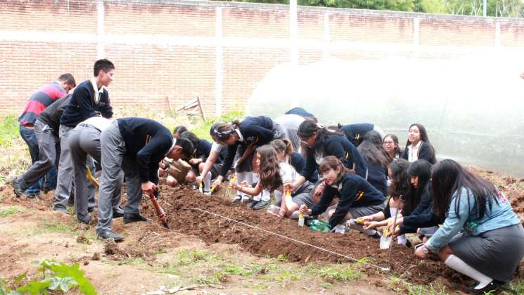 Promueven  autosuficiencia alimentaria en jóvenes 