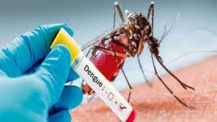 Reporta SSO 900 casos de dengue en 2019