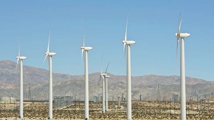 Oaxaca, líder nacional en producción de energía eólica 