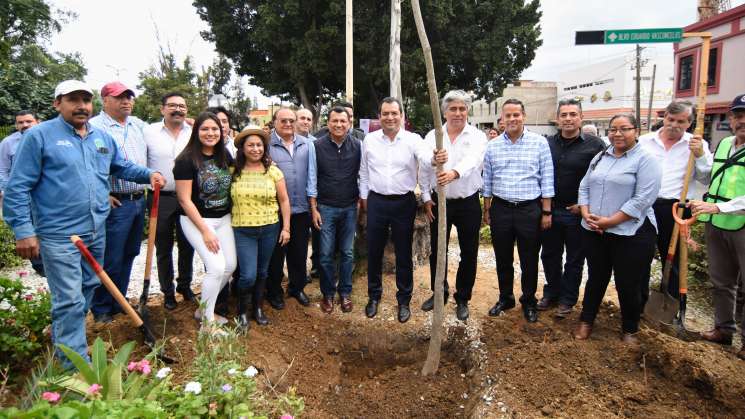 Arranca Programa de Sustitución de Arbolado Urbano “Uno a Uno”