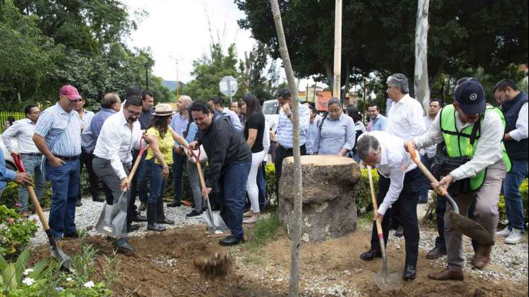 Impusa FAHHO reforestación urbana de la capital oaxaqueña