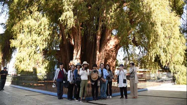 Atrae a japoneses oferta turística de Oaxaca