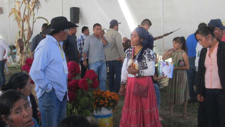 Gastronomía originaria, alimento espiritual