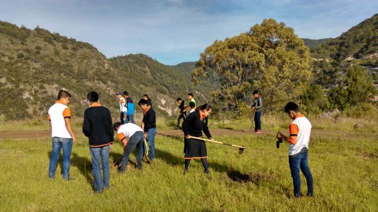 En dos años CECyTEO siembra 30 mil árboles y avance académico