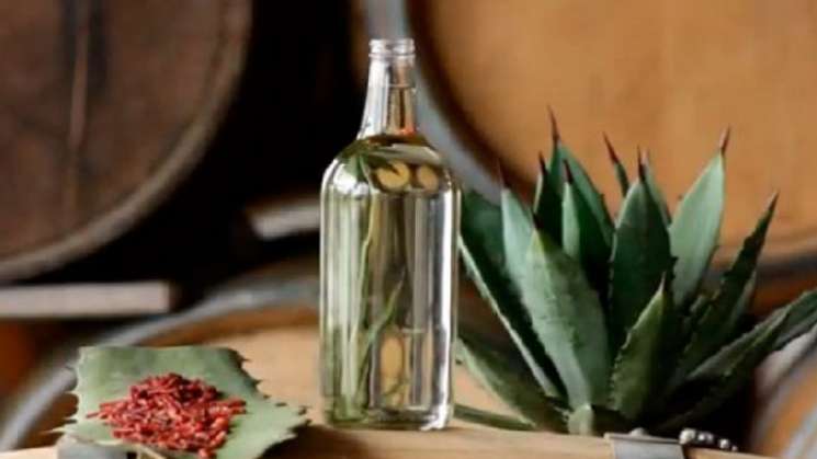 Aguscalientes busca nuevamente certificación del mezcal