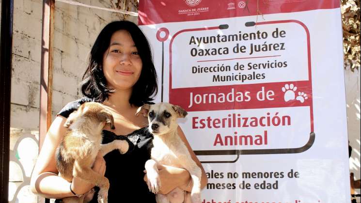 Realizan jornada de Esterilización Animal en capital oaxaqueña