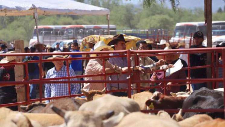 Ganaderos de Oaxaca sin recibir programa crédito a la palabra