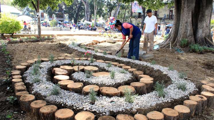 Revitaliza Ayuntamiento jardines y espacios verdes de Oaxaca