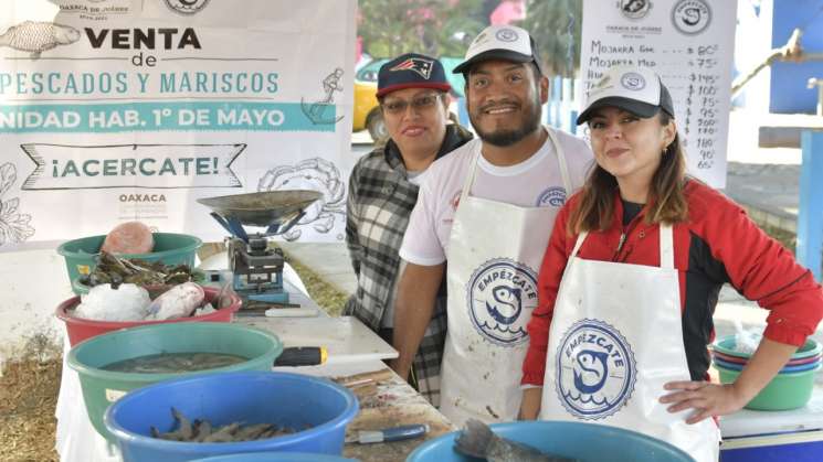 Pescados y mariscos de calidad y buen precio en 