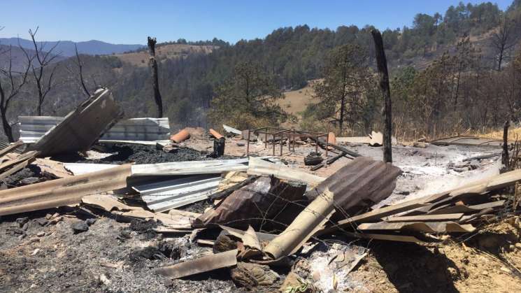 Tras incendios, pide Oaxaca declaratoria de emergencia 