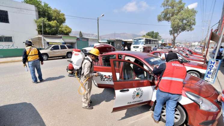 Inicia Semovi sanitización de taxis foráneos