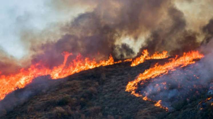 Se mantienen cinco incendios forestales activos en Oaxaca