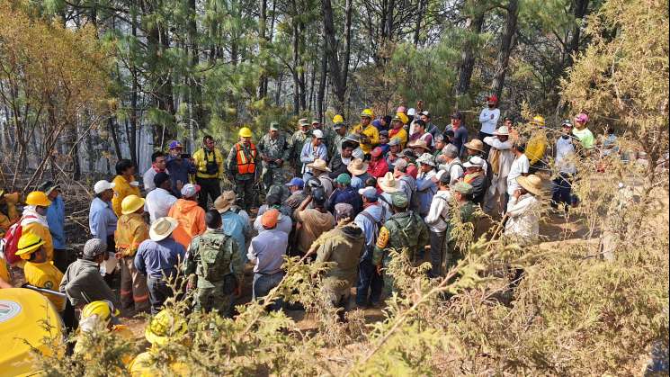 Pide Oaxaca declaratoria emergente para 9 municipios por fuego