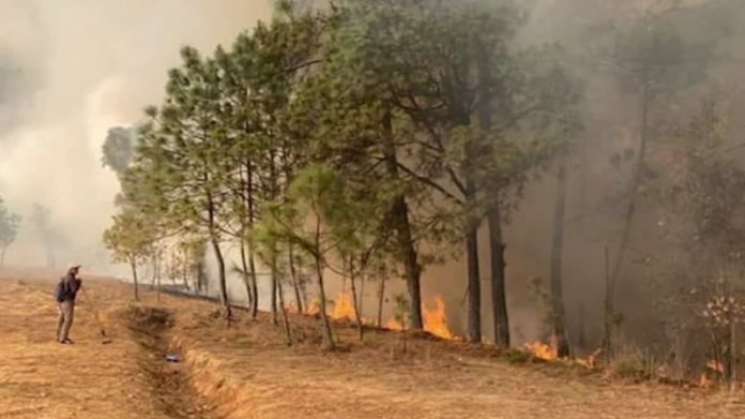 Declaran en emergencia cinco municipios por incendios forestales 