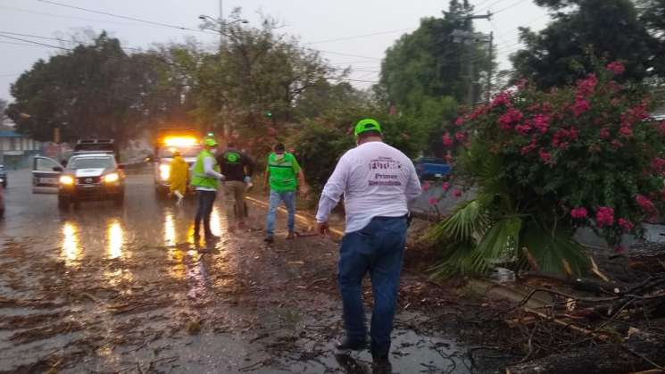 Reporta CEPCO daños leves por lluvias en Oaxaca