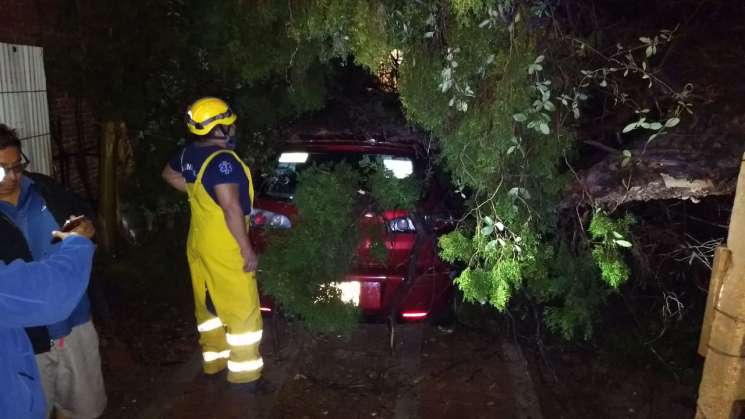 Protección Civil Municipal  atiende 21 incidentes por lluvias