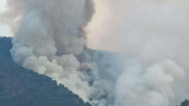 55 incendios forestales activos en 13 entidades del país