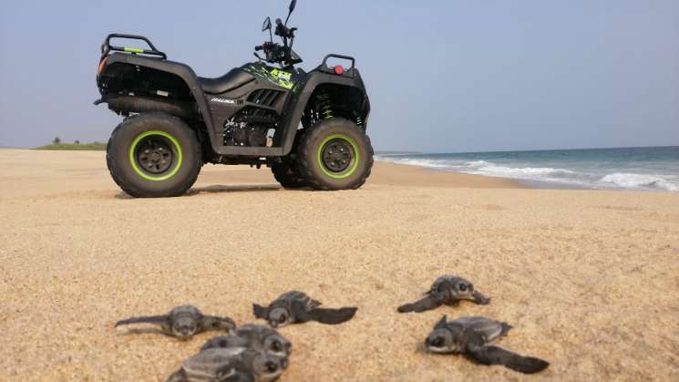 ITALIKA dona cuatrimotos para protección de tortugas en la costa