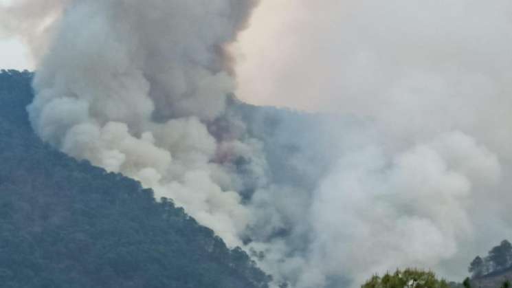 Conafor reporta 44 incendios forestales activos en el país