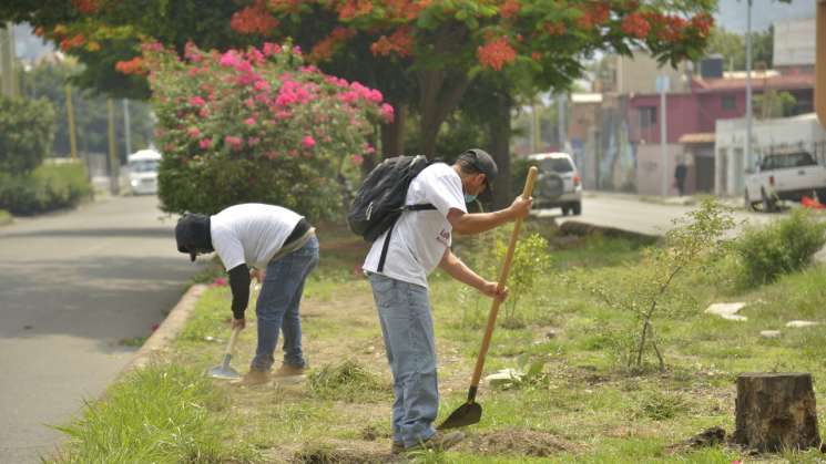 Suspende Ayuntamiento de Oaxaca programa “Labor Comunitaria”