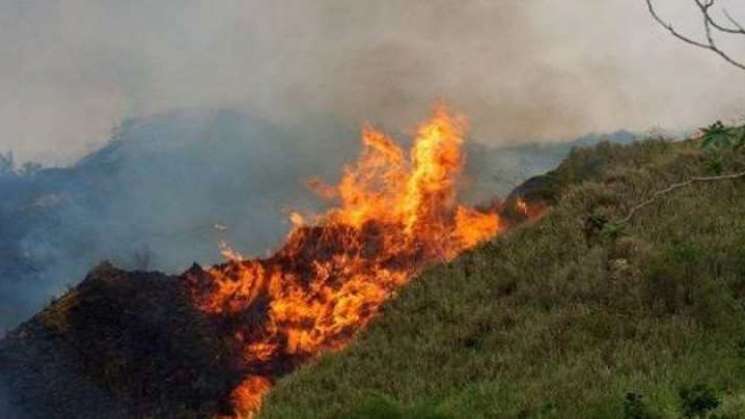 Hay 48 incendios forestales en 13 estados de México