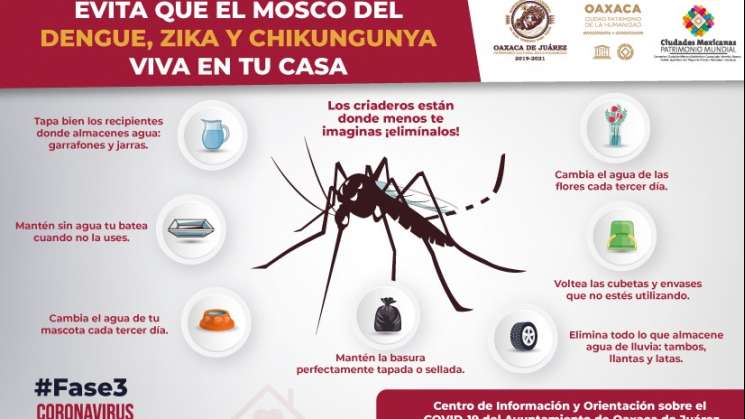 Llama Ayuntamiento de Oaxaca a sanear hogares para evitar dengue