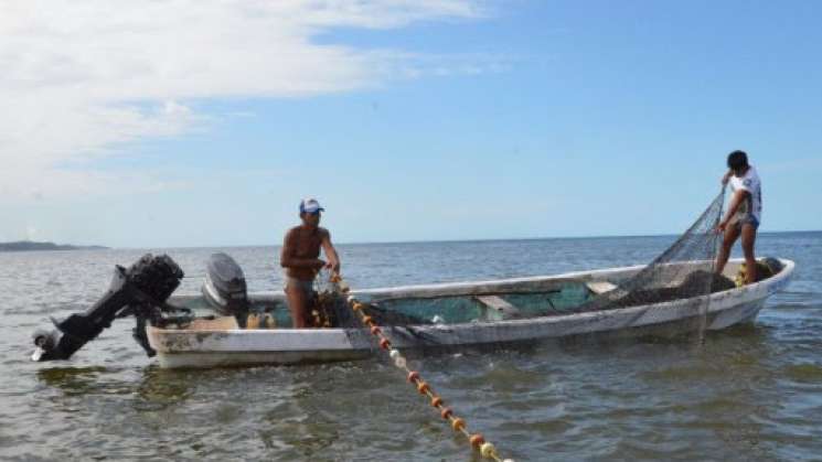 FAO entrega 9.2 mdd para fortalecer la pesca sostenible