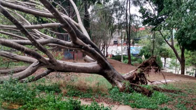 Tormenta intensa deja severas inundaciones en Oaxaca