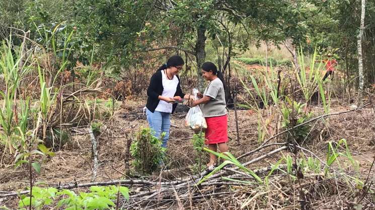 Llega la ruta de la esperanza a la Sierra Mazateca   