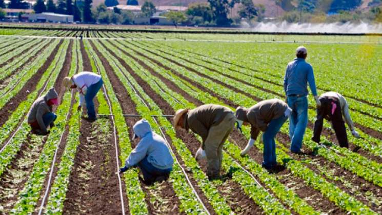 México suspende temporalmente envío de trabajadores a Canadá