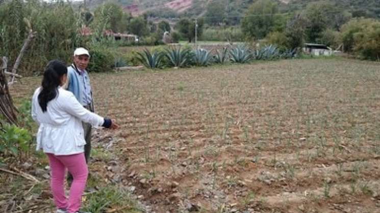 MasAgro, opción productiva para hacer frente a la desertificación