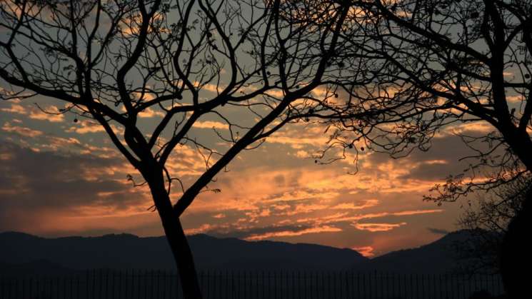 Celebra Oaxaca el Día de la Riqueza Natural