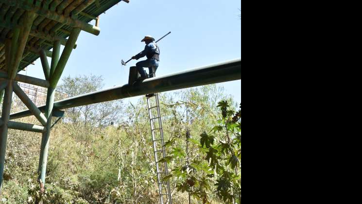 Brigadas de SAPAO recorren colonias por reportes ciudadanos