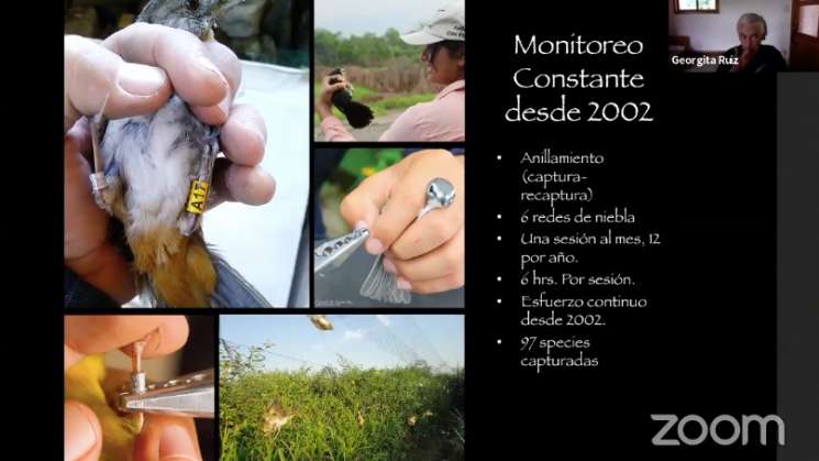 Oaxaca, sitio privilegiado para el monitoreo y estudio de aves