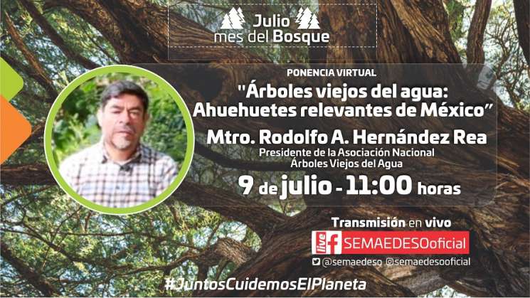 Presenta la Semaedeso conferencia sobre el Ahuehuete