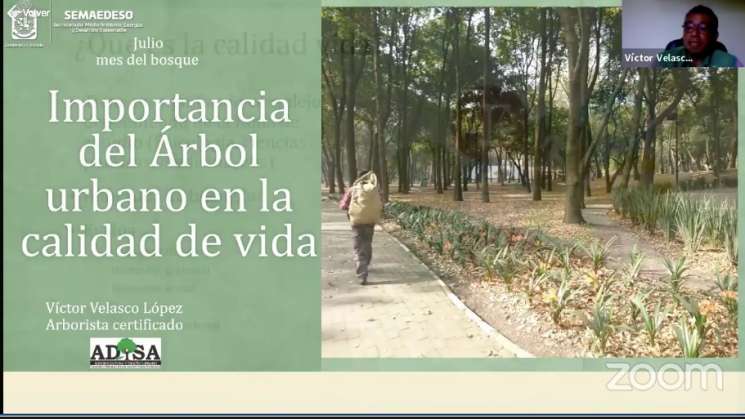 Indispensable revalorización del arbolado urbano:Víctor Velasco