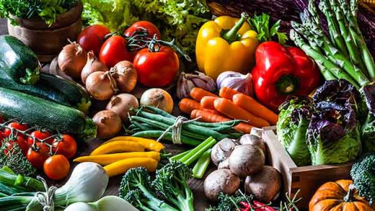 Dietas veganas y vegetarianas deben ser balanceadas: UNAM