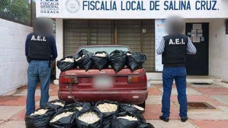 FGO asegura 24 mil huevos de tortuga en el Istmo de Tehuantepec